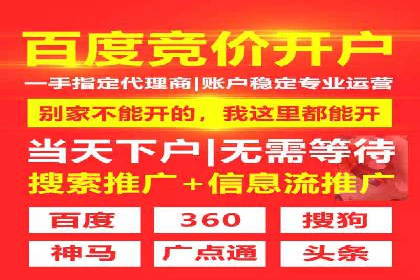 SEM广告创意与优化：成功案例分享